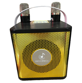 картинка Колонка беспроводная караоке 10w XY-2609 Динамосс от интернет-магазина К1-СТРОЙ