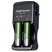 картинка Зарядное устройство Basic 250 для Ni-Cd / Ni-MH аккумуляторов GoPower от интернет-магазина К1-СТРОЙ