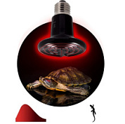 картинка Инфракрасная лампа Fito-50w-НQ CeramiHeat RX для брудера, рептилий Б0052714 ЭРА от интернет-магазина К1-СТРОЙ