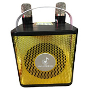 картинка Колонка беспроводная караоке 10w XY-2609 Динамосс от интернет-магазина К1-СТРОЙ