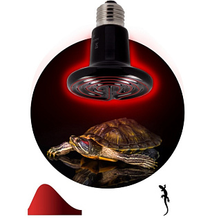 картинка Инфракрасная лампа Fito-50w-НQ CeramiHeat RX для брудера, рептилий Б0052714 ЭРА от интернет-магазина К1-СТРОЙ
