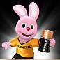 Батарейка C/LR14 Duracell