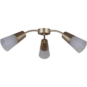 картинка Светильник потолочный 01266-0.3-03B GOLD Reluce от интернет-магазина К1-СТРОЙ