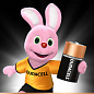 Батарейка R20 D Duracell