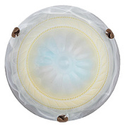 картинка Настенно-потолочный светильник Ромашка (300) НПБ 01-2х60-001 от интернет-магазина К1-СТРОЙ