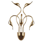 картинка 751652 (MB8098-5A) Бра Cigno collo 5х20W G4 ЗОЛОТО (в комплекте) от интернет-магазина К1-СТРОЙ