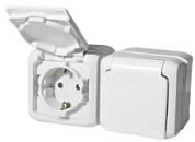 картинка Розетка 2-ая с крышкой с заземлением с защитными шторками наружная IP44 белый 782323 Legrand Quteo от интернет-магазина К1-СТРОЙ