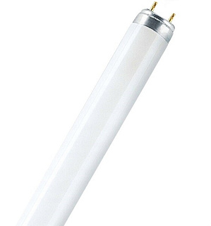 картинка Лампа люминесцентная T5 8W/840 OSRAM от интернет-магазина К1-СТРОЙ