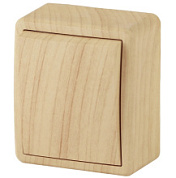 картинка Выключатель 11-1201-11, 10АХ-250В IP20 ОУ, сосна Эксперт ЭРА от интернет-магазина К1-СТРОЙ