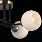 Светильник потолочный IL0395-4CBSQ-79 BK WT ILLUMICO
