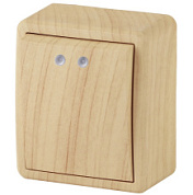 картинка Выключатель с подсветкой 11-1202-11, 10АХ-250В IP20 ОУ, сосна Эксперт ЭРА от интернет-магазина К1-СТРОЙ