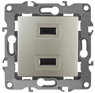 картинка Устройство зарядное USB, 12-4110-04 шампань ЭРА от интернет-магазина К1-СТРОЙ