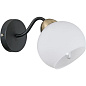 Светильник настенный IL0398-1WSQ-79 BK WT ILLUMICO