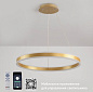 Управляемая светодиодная люстра STELLA 96W R-APP-600x1200-GOLD/WHITE-220-IP20 УУО00004248 Estares