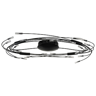 картинка Люстра потолочная Lightstar OVALE 24хG4, чёрный от интернет-магазина К1-СТРОЙ