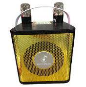 картинка Колонка беспроводная караоке 10w XY-2609 Динамосс от интернет-магазина К1-СТРОЙ