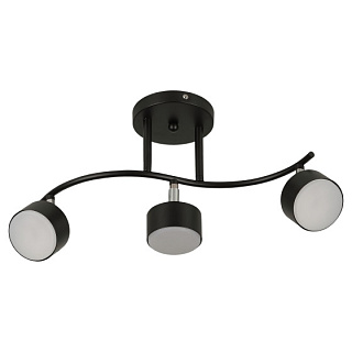 картинка Светильник настенно-потолочный спот 3хGX53 15 Вт поворотный7074-703 Rivoli Vanessa от интернет-магазина К1-СТРОЙ