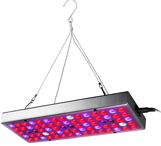 картинка Фито панель для растений Полный спектр 25Вт от интернет-магазина К1-СТРОЙ