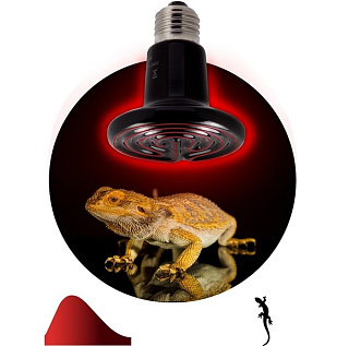картинка Инфракрасная лампа ЭРА Fito-100W CeramiHeat RX для брудера и рептилий, E27 от интернет-магазина К1-СТРОЙ