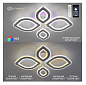 Люстра светодиодная управляемая Estares OVAL DOUBLE RGB 60W