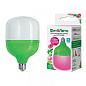 Лампа светодиодная для растений LED-M80-20W-SPSB-E27-FR PLS55GR Uniel