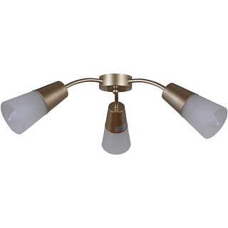 картинка Светильник потолочный 01266-0.3-08B GOLD Reluce от интернет-магазина К1-СТРОЙ